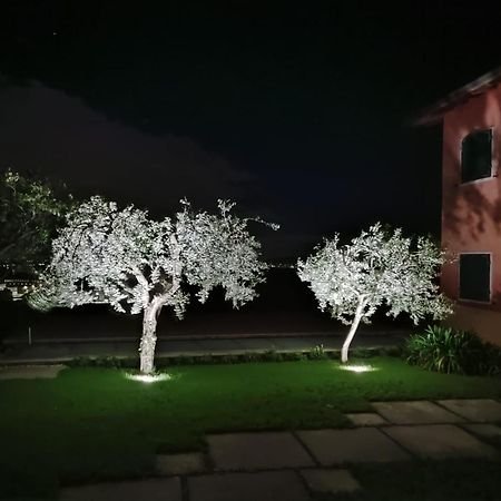 Nice Apartments Lake View & Free Parking Pastrengo Extérieur photo